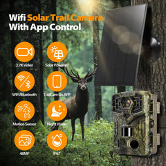 Briggren WiFi Solar Trail Camera night vision setup captures nocturnal activity