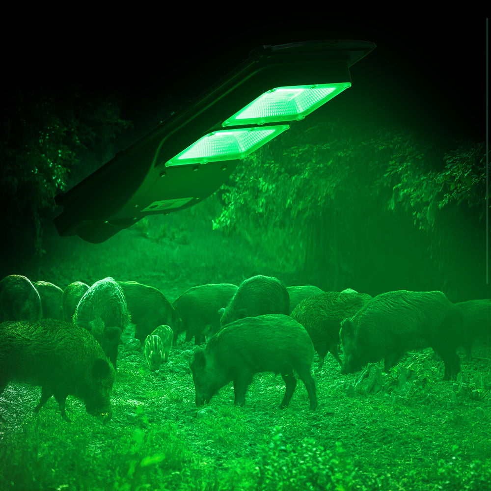 BSOD Hog Light front view showing durable solar outdoor lamp for wildlife monitoring