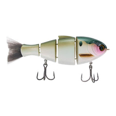 Bucca Brand Bull Shad 5in with swimming action attracts trophy bass
