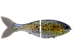 Bucca Brand Trick Shad 8-inch Sacalait lure with lifelike glide for big predator fish