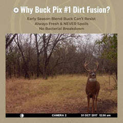 Buck Fever Synthetics Dirt Fusion scent in soil by trail camera setup for early-season lure