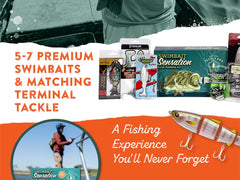 Catch Co Mystery Tackle Box swimbaits design closeup highlights lifelike profiles and color patterns.