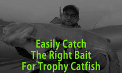 Catfish Sumo spoon shows striped bass wobble inviting strikes