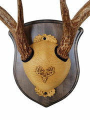 Solid wood plaque by Cauff showcases antlers with premium craftsmanship