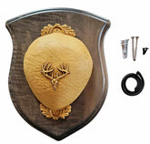 Cauff whitetail antler mounting kit on gray crest plaque for durable display