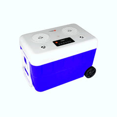 Cerwin Vega 55QT cooler exterior highlighting rugged, waterproof design for outdoor parties.