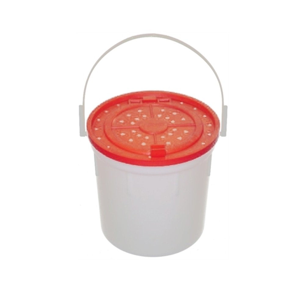 Challenge Minnow Bucket 4-Quart with red lid for portable bait storage and easy transport