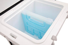 COASTLAND freezable divider used as freezer-ready ice pack inside cooler.