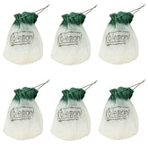 Coleman Insta-Clip Mantle pack-2: quick replacement for bright lantern light.