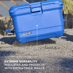 Coleman Pro 74-can capacity offers ample space for drinks and snacks.