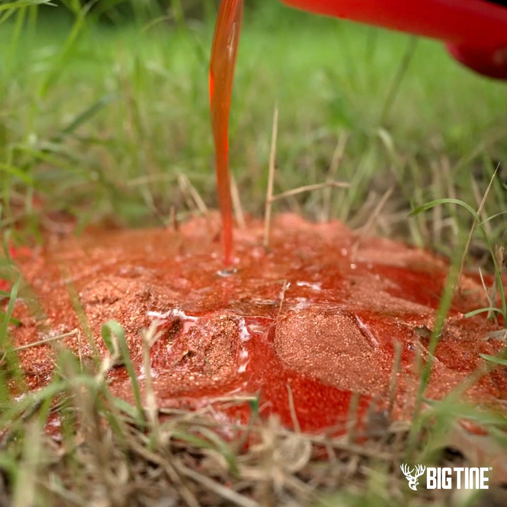 Concentrated scent and flavor close-up