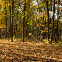 Conquest Scents EverCalm scent stick applied to rope for calmer deer visits.