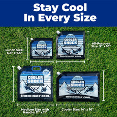 Cooler Shock ice pack after freezing provides dependable cold for picnics and school meals.