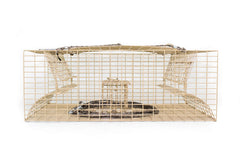 Crayster Lake Trap with lake camouflage powder coating blending into surroundings