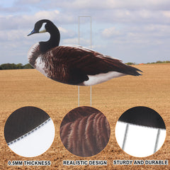 CroBlissful goose decoy pose-3 showing dynamic motion near water