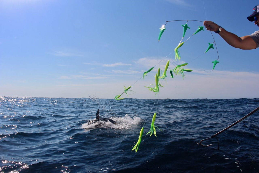 Cuda carbon fiber gaff with 6ft shaft and 3in hook for strong, lightweight fishing