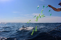 Cuda carbon fiber gaff with 6ft shaft and 3in hook for strong, lightweight fishing
