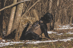 Cupped Waterfowl vest chest 30in X-Large in Realtree MAX-7 camouflage