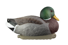 Cupped Waterfowl weighted keel decoy enhancing water motion and balance.
