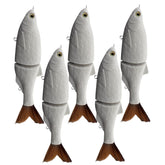 DAGLLGEW 5Pcs unpainted lure blanks ready for customization.