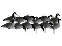 Dakota Decoy X-Treme Silhouettes Canada Goose 12-pack with flocked heads and tails for realistic concealment.