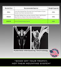 DEAD ON DISPLAY laser-grade steel bracket emphasizes durable trophy mounting.