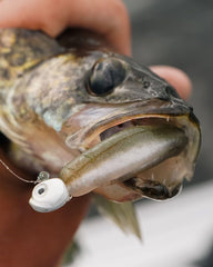 Close-up of jig head and hook