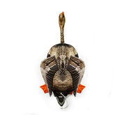 Dog & Field The Original Clone goose dead bird dummy with realistic feathers for lifelike retrieves.