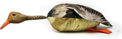 Dog & Field The Original Clone pheasant dummy front view with HD feather print for visual training.