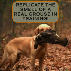 Applying DogBone Grouse Scent to a toy for hunting dog engagement