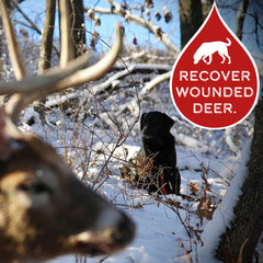 DogBone BloodTrail Scent applied to create realistic trail cues.