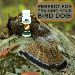DogBone Grouse Scent shown with training dummy to simulate grouse odor