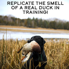 DogBone retrieve drill scene with duck scent for lifelike practice.