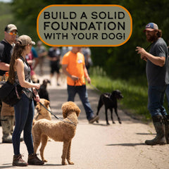 DogBone Training Tools video scene demonstrating positive reinforcement for learning.