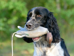 Dokken Dead Fowl Green Wing Teal trainer floating to simulate live water retrieves
