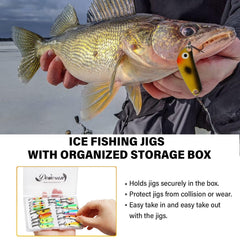 Jig head with holographic eye and sharp hook