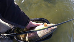 Backpacker-friendly design: Hellbender collapses to 24 inches and weighs 3.4 oz