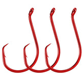 Dr.Fish octopus circle hook close-up shows offset beak for higher hookup potential.