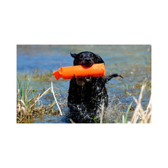 DT Systems cordura dummy floating for water and land retrieval training