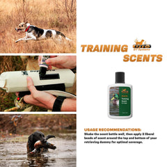 A dog follows a DT Systems scent during a training session to improve trail awareness.