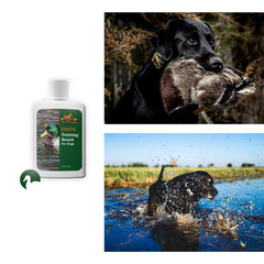 DT Systems Training Scent trail application for effective scent trail training.