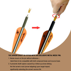 e5e10 31inch carbon arrow length close-up for precise targeting practice
