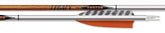 Easton Carbon Legacy Arrows with wood-grain finish demonstrate durable hunting flight visibility.