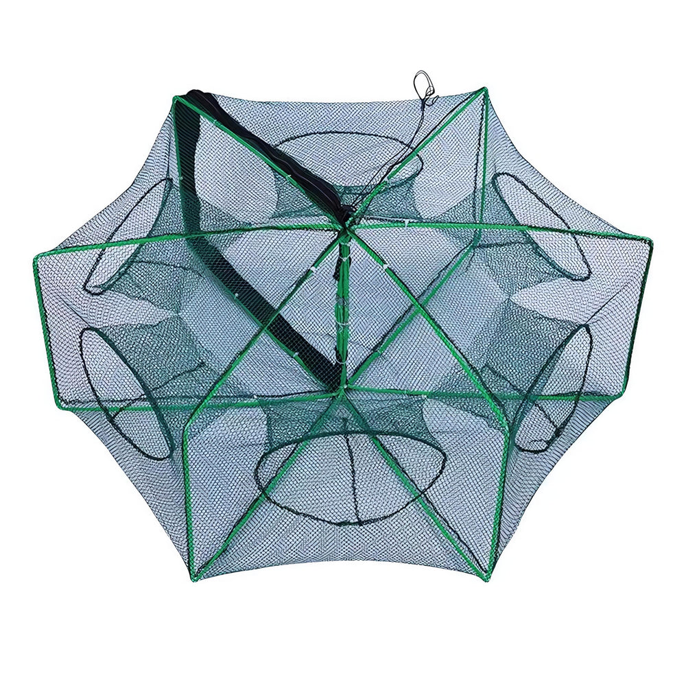 Open Easy Big Foldable Bait Trap showing 360-degree design