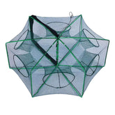 Open Easy Big Foldable Bait Trap showing 360-degree design