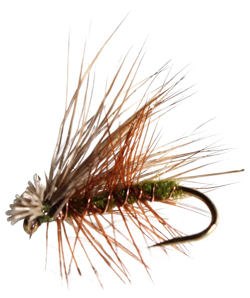 Elk Hare Caddis Olive Trout Flies Assortment - 1 Dozen (Rose Gold)