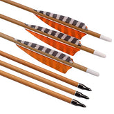 ELONG OUTDOOR 6-pack 30in camo carbon arrows improve consistency for practice.