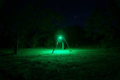 Elusive Wildlife Kill Light Amber mode for low-glow feeder lighting during hog hunts.