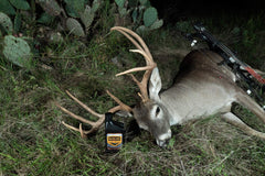 Elusive Wildlife Buck Oil oil based scent carrier visualizing aromatic brew