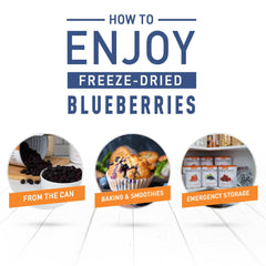 Emergency Essentials blueberries rehydrated in warm water, plump and ready.